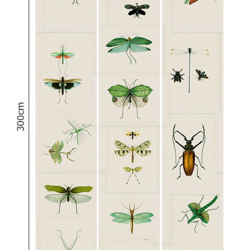 MINDTHEGAP | Entomology Green | WP20234