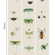 MINDTHEGAP | Entomology Green | WP20234