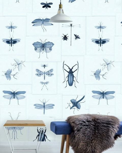MINDTHEGAP | Entomology Blue | WP20235