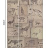 MINDTHEGAP | Zooarchaeology | WP20236