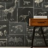 MINDTHEGAP | Zooarchaeology Anthracite | WP20237