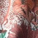 MINDTHEGAP | CORAL REEF | WP20299