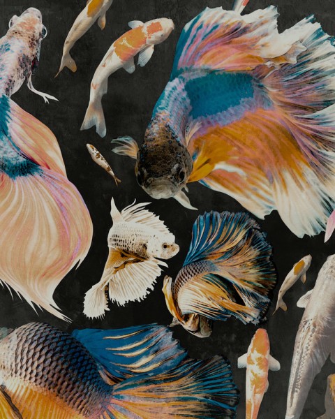 MINDTHEGAP | GOLDFISH Anthracite | WP20301