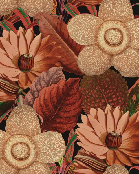 MINDTHEGAP | WATER LILIES | WP20316