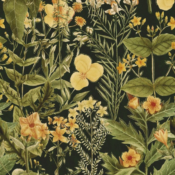 MINDTHEGAP | MIMULUS Anthracite | WP20322