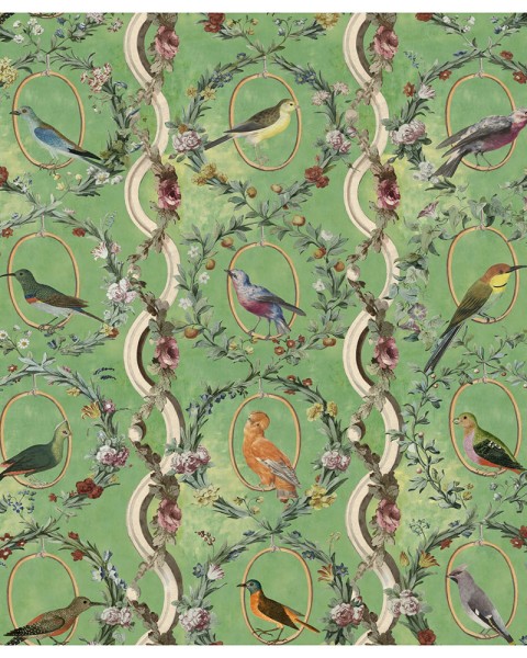 MINDTHEGAP | The Wallpaper Compendium | Countesse's Aviarium Mint | WP20426