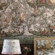 MINDTHEGAP | The Wallpaper Compendium | Journey To Eden Pink | WP20457
