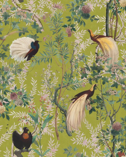 MINDTHEGAP | The Wallpaper Compendium | Royal Garden Green | WP20465