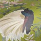 MINDTHEGAP | The Wallpaper Compendium | Royal Garden Green | WP20465