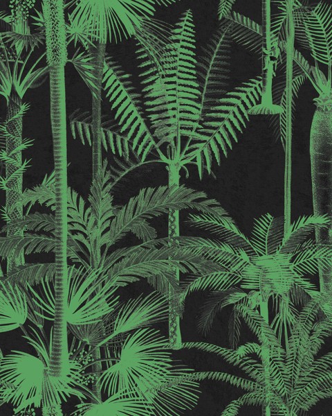 MINDTHEGAP | The Wallpaper Compendium | PALMERA CUBANA Dark | WP20496