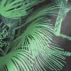 MINDTHEGAP | The Wallpaper Compendium | PALMERA CUBANA Dark | WP20496