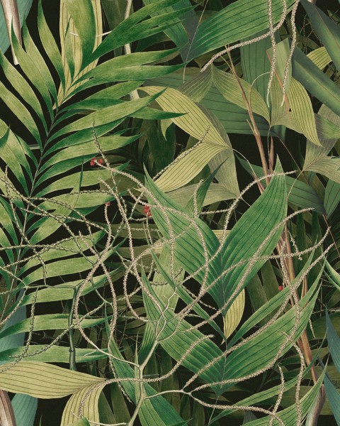 MINDTHEGAP | The Wallpaper Compendium | EXOTIC GARDEN | WP20515