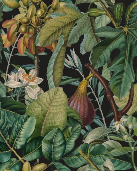 MINDTHEGAP | The Wallpaper Compendium | FIGS AND DATES | WP20517