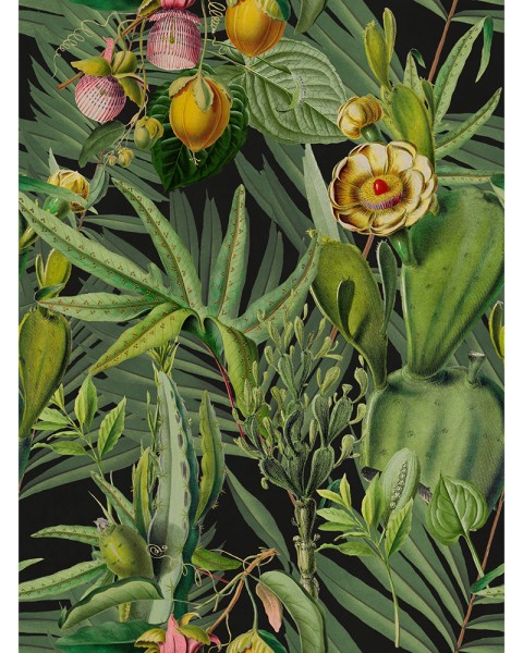 MINDTHEGAP | The Wallpaper Compendium | LUSCIOUS FLORA | WP20518