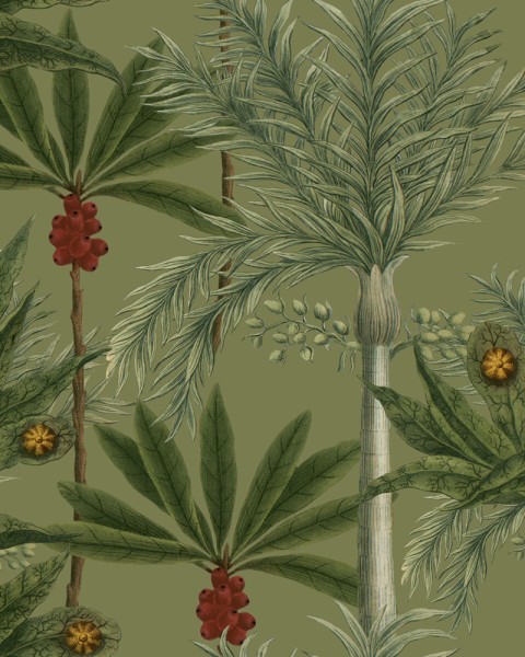 MINDTHEGAP | The Wallpaper Compendium | MADAGASCAR | WP20520