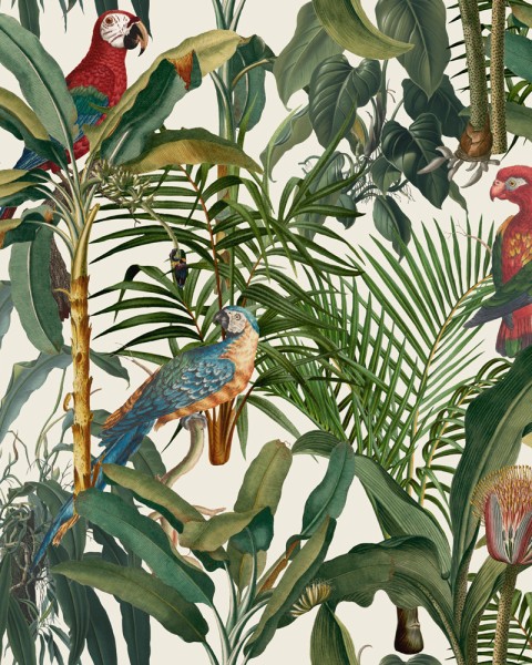 MINDTHEGAP | The Wallpaper Compendium | PARROTS OF BRASIL | WP20521