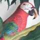 MINDTHEGAP | The Wallpaper Compendium | PARROTS OF BRASIL | WP20521