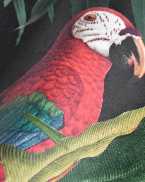 MINDTHEGAP |  The Wallpaper Compendium |  PARROTS OF BRASIL Antracite WP20522 Wallpaper