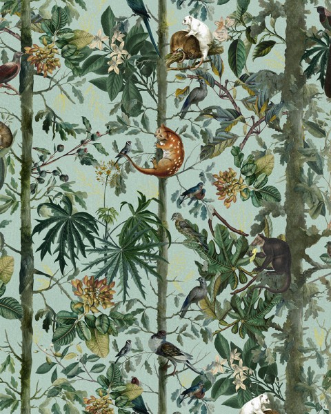 MINDTHEGAP | The Wallpaper Compendium | WILDLIFE OF PAPUA | WP20528