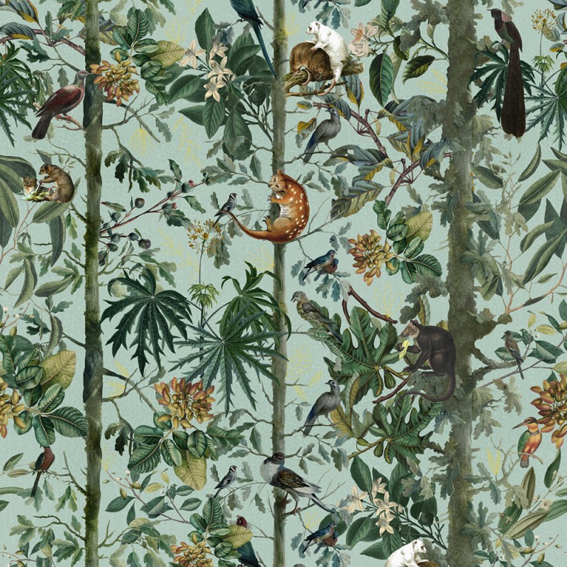MINDTHEGAP | The Wallpaper Compendium | WILDLIFE OF PAPUA | WP20528