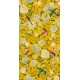 MINDTHEGAP | THE GARDEN OF IMMORTALITY Mustard Yellow | WP20590