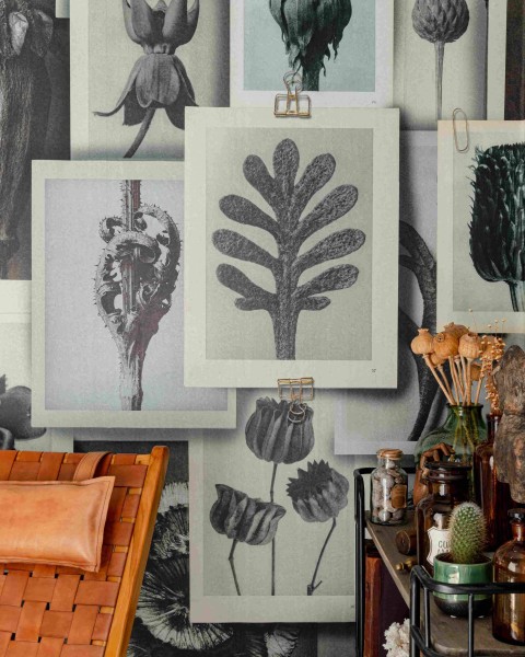 MINDTHEGAP | BLOSSFELDT'S ART FORMS | WP20595