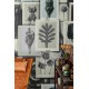 MINDTHEGAP | BLOSSFELDT'S ART FORMS | WP20595