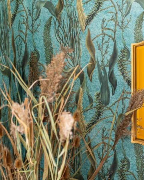MINDTHEGAP | THE WETLANDS | AQUATIC PLANTS