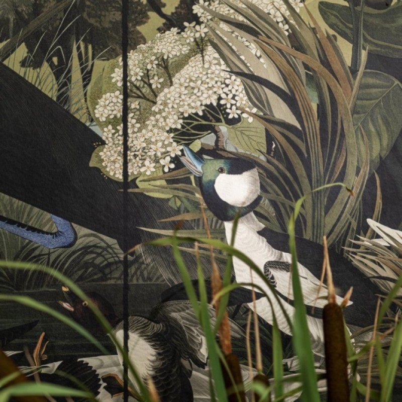 MINDTHEGAP | THE WETLANDS | DANUBIAN TALE |  WP20719