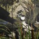 MINDTHEGAP | THE WETLANDS | DANUBIAN TALE |  WP20719