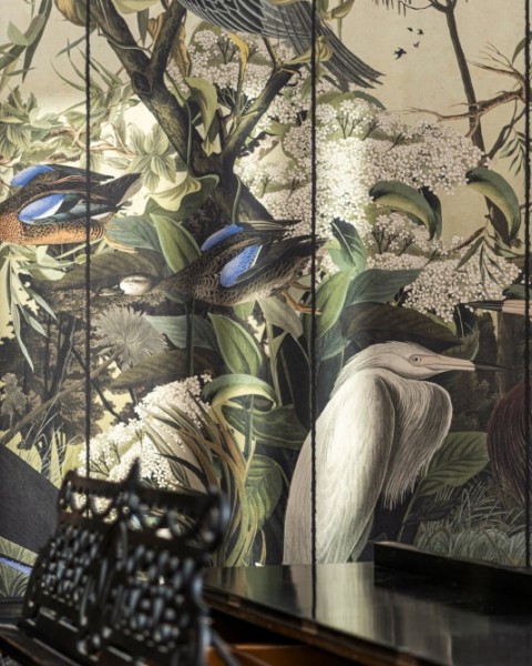 MINDTHEGAP | THE WETLANDS | DANUBIAN TALE |  WP20719