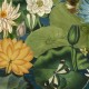 MINDTHEGAP | THE WETLANDS | LOTUS BLOSSOM | WP20723
