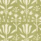MINDTHEGAP | TULIPAN Beechnut | WP30032