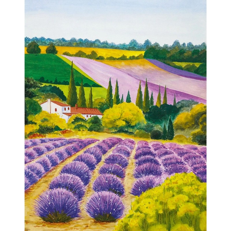 MARBURG | PROVENCE XVI