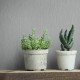Marburg | Timber I