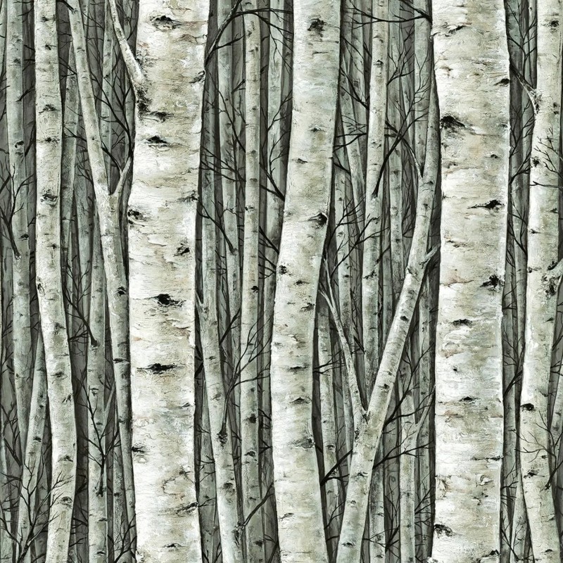 Marburg | Timber VII
