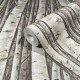 Marburg | Timber VII