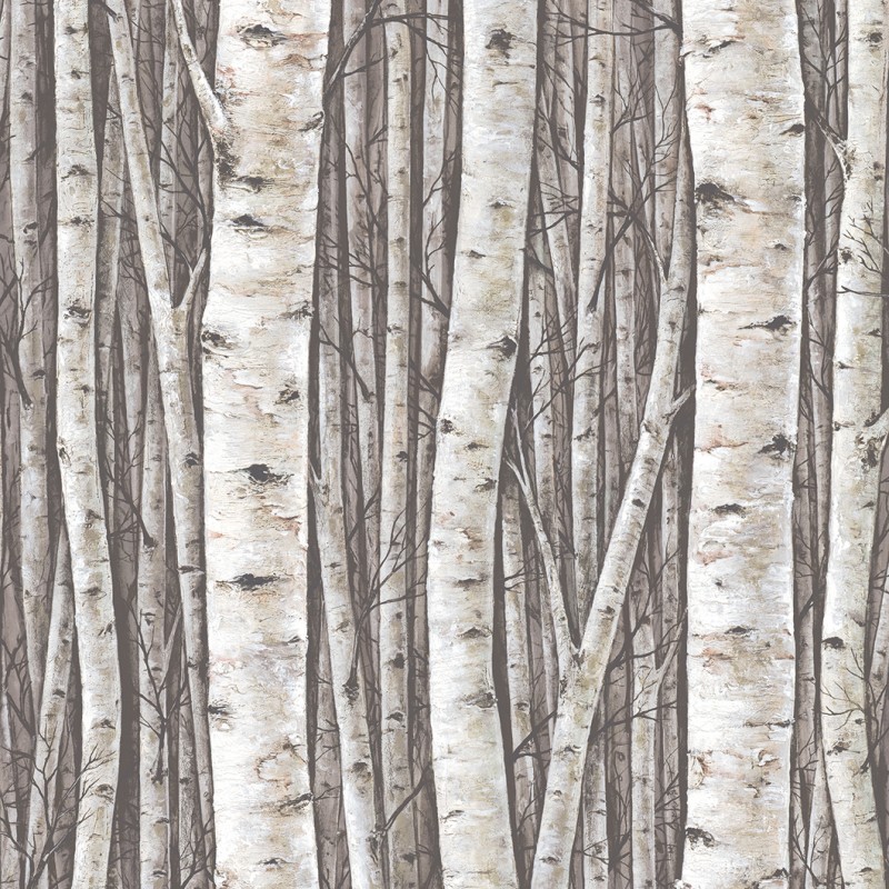 Marburg | Timber VII