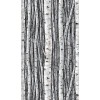 Marburg | Timber XI