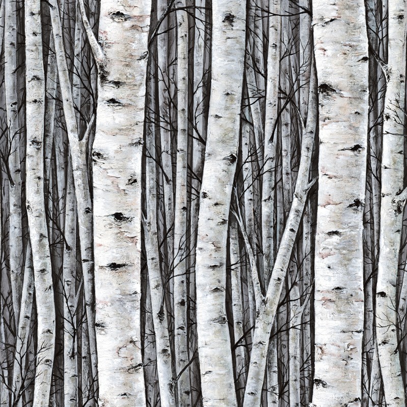 Marburg | Timber VII