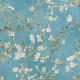 MARBURG | ALMOND BLOSSOM | MT17140