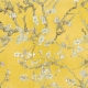 MARBURG | ALMOND BLOSSOM | MT17143