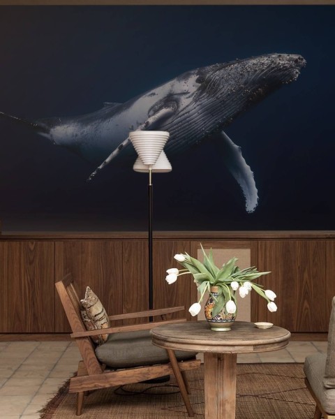MARBURG | Advanture Whale