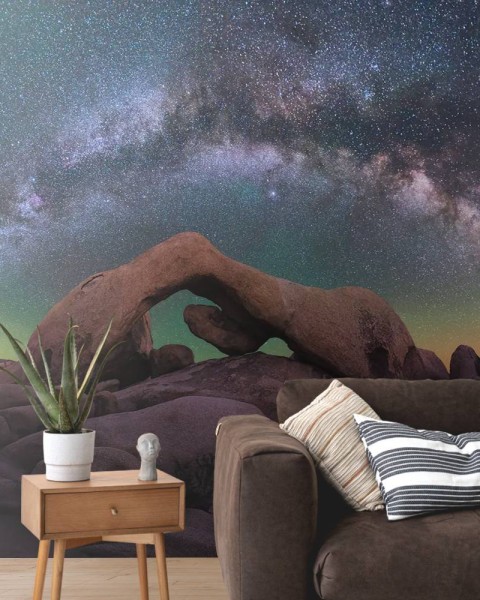 MARBURG | Aurora Joshua Tree