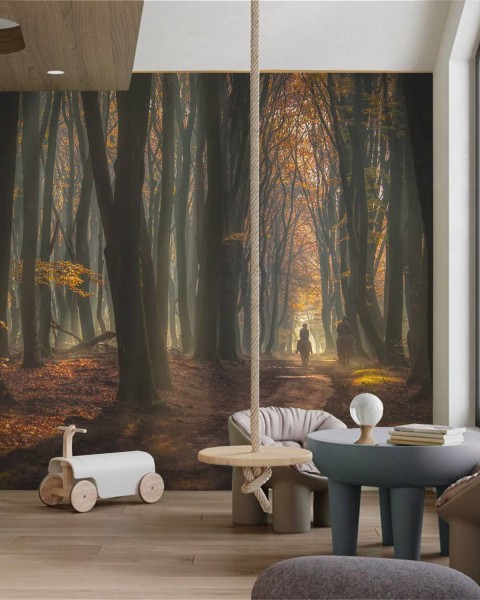 MARBURG | Autumn Forest Netherlands