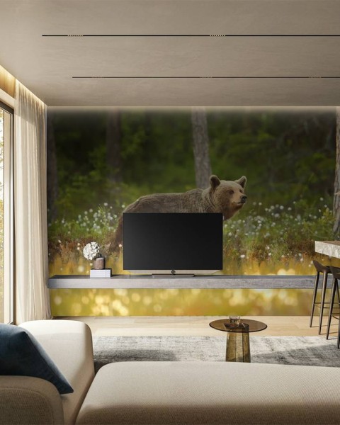 MARBURG | Beautiful Walking Bear
