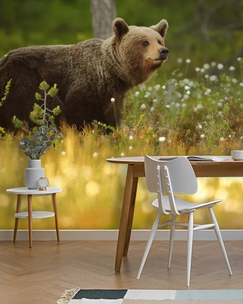 MARBURG | Beautiful Walking Bear