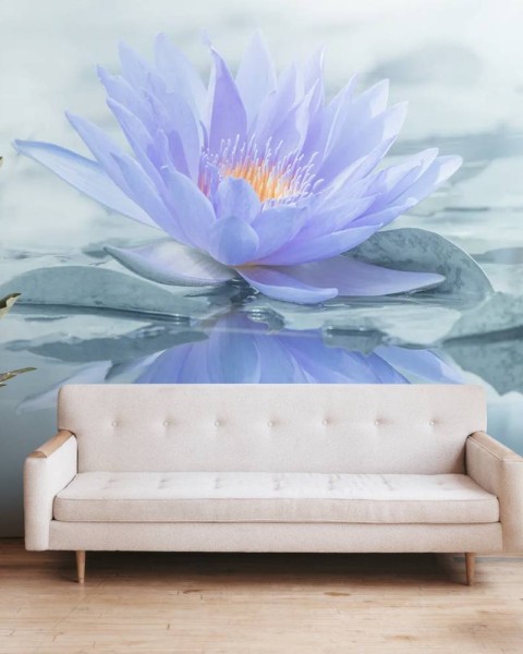 MARBURG | Blue Lotus Reflection