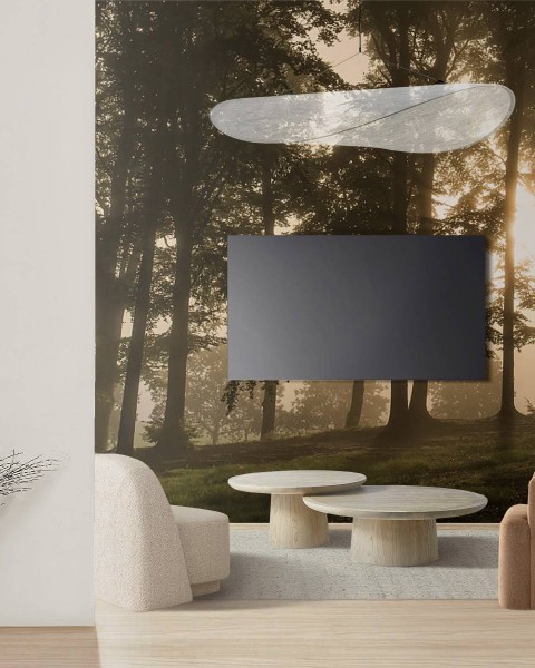 MARBURG | Bright Light Forest