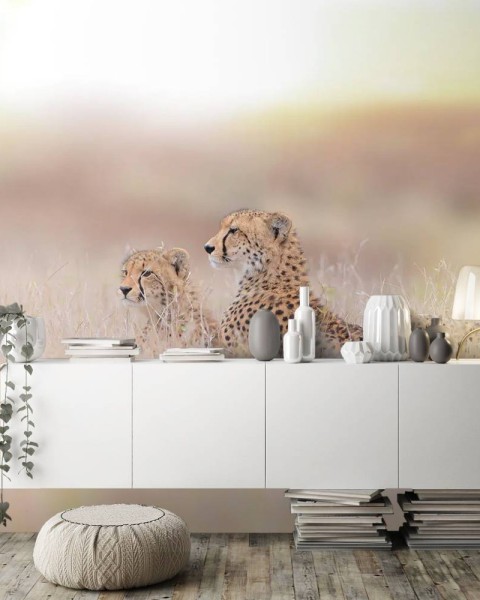 MARBURG | Cheetah Family Time
